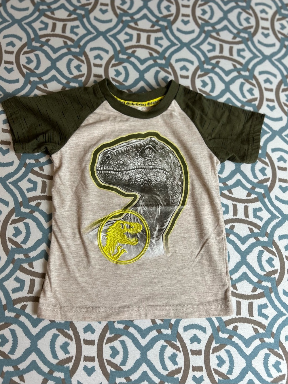 Boys Short Sleeve Dino Graphic Raglan Tee - Olive